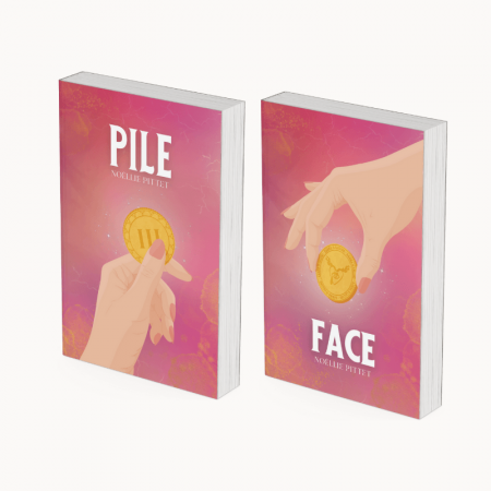 Duo Pile et Face, Tome 2