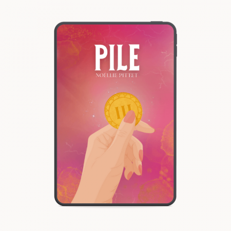 Ebook Pile, Tome 2
